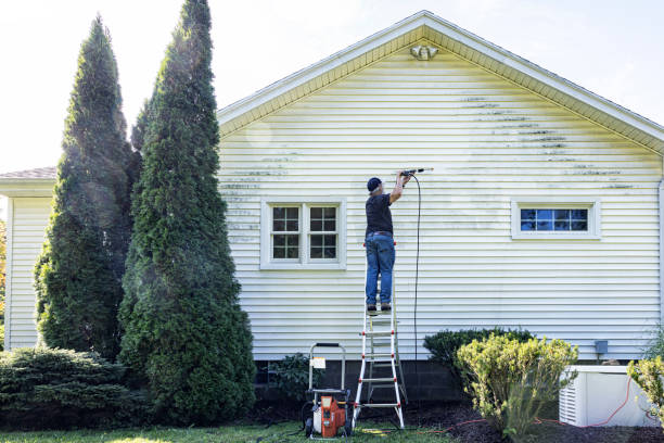 Best Vinyl Siding Pressure Washing in Blossom, TX